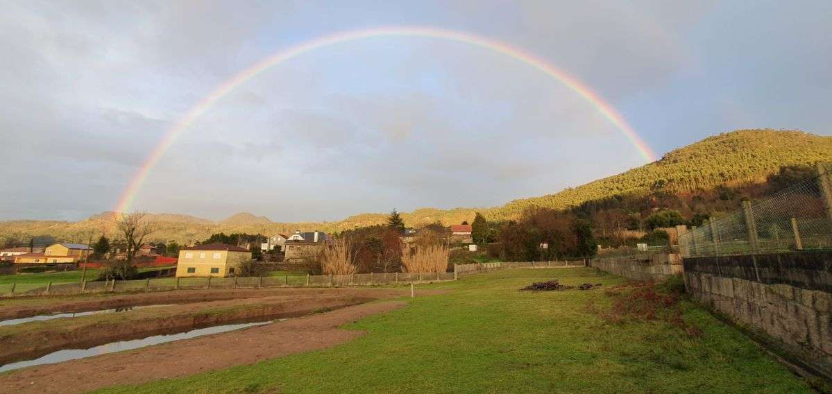 Avestruz en Granja El Hórreo